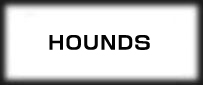 ハウンズ(HOUNDS)
