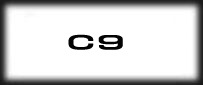 C9(Continent of the Ninth)